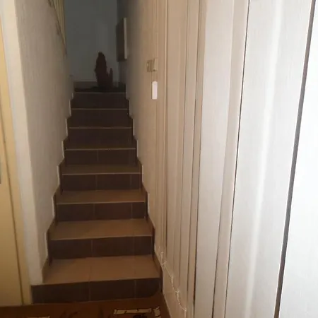 Guest house Titi